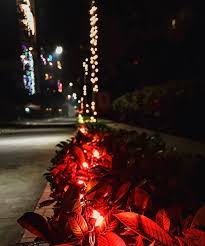 About 10% of these are holiday lighting, 0% are lawn lamps. Diwali Lights Decoration Ideas Happyshappy