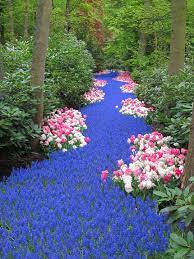 Check spelling or type a new query. River Of Flowers Beautiful Gardens Garden Inspiration Beautiful Flowers