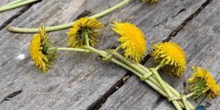 How To Make A Dandelion Flower Crown With Real Flowers Amanda Linette Meder Diy Flower Crown Flower Crown Dandelion Flower