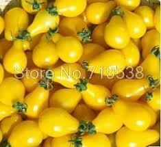 200 Pcs Rushed New Outdoor Plants Promotion Garden Tomato Seed Potted Bonsai Balcony Fruit Graine De Tomate Jardin De Tomates Tomates Cerises