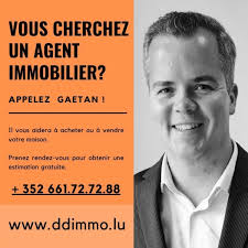 D & D Immobilier