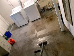 Maybe you would like to learn more about one of these? Canton Mi Carpet Air Duct Cleaning Steves Air Duct And Carpet