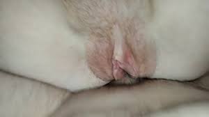 Lil Red Loves Anal - Pornhub.com