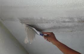 Walmart.com has been visited by 1m+ users in the past month Ceiling Refinishing Popcorn Ceiling Removal
