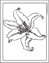Lily 5 printable coloring page. 12 Lily Coloring Pages Fun Interactive Notebook Pdf Printables