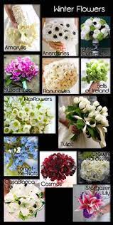 Save winter flowering plants to get email alerts and updates on your ebay feed.+ buy 2 get 1 free 400 seeds winter flowering pansy viola mix+4free plant label. 25 Winter Flowers Ideas Winter Flowers Flowers Plants