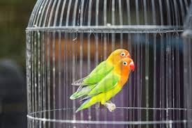 Udah lama ga upload karena ada kesibukan 1 dan. Peluang Mbizmarket Co Id