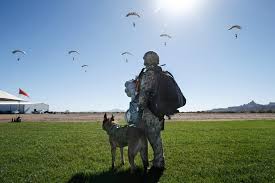 7 steps to becoming a canine handler. Service Dogs To Customs The Federal Police And The Armed Forces