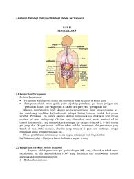 Struktur sistem respirasi online activity for tingkatan 3. Anatomi Fisiologi Dan Patofisiologi Sist Docx