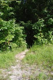Maybe you would like to learn more about one of these? Three Within Thirty Short Hikes To Cool Places In The Bankhead National Forest Woodlands And Waters