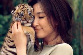 Hal ini dikarenakan mimpi itu membawa sugesti dan makna yang berbeda pula. Penafsiran Mimpi Tentang Apa Yang Diimpikan Seekor Harimau Apa Yang Diimpikan Harimau Mimpi Interpretasi Harimau
