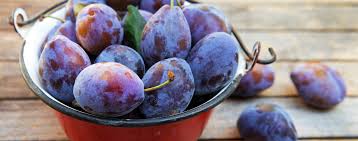 » startseite » foren » haus & garten » wann genau sind zwetschgen reif? Pflaumen Und Zwetschgen Das Blaue Wunder Gruss Gott