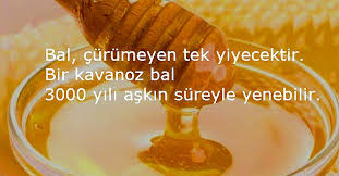 ilginç bilgiler ile ilgili görsel sonucu