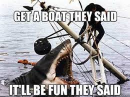 Jaws Meme Funny Pictures Insurance Humor Geeky Humor