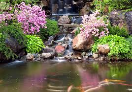 When the gold ginkgo trees glow in the autumn light, the japanese respect for nature and age are revealed in the elizabeth hubert malott japanese garden. Find Your Zen At Rockford S Anderson Japanese Gardens Chicago Parent