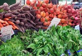 What do i need to know have a successful organic we love our home vegetable garden and would love to share some great tips, techniques and inside information, it's easy to follow and step by step. Beginner Vegetable Gardening Guide Planet Natural