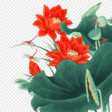 Flowers are a most beautiful thing of this world and there are so many kinds of flowers. Red Petaled Flowers Illustration U5de5u7b14u9ca4u9c7c Feng Shui Living Room Bird And Flower Painting Gongbi 2017 Beautiful Lotus Leaf Lotus Green Plant Material Herbaceous Plant Kitchen Png Pngegg