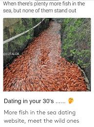 Yes, there are plenty of the fish in the sea. When There S Plenty More Fish In The Sea But None Of Them Stand Out Dating In Your 30 S More Fish In The Sea Dating Website Meet The Wild Ones Dating Meme