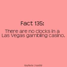 Quotes About Vegas Funny My Quotes Life Las Vegas Gambling Gambling Quotes Las Vegas