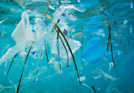 Sampah plastik di laut bisa mengancam perekonomian masyarakat. Lautan Penuh Sampah Plastik Bukan Kesalahan Negara Negara Berkembang Tomm News