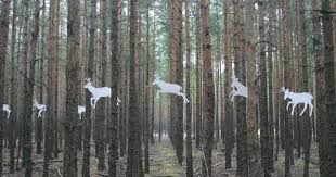 Http Www Artoffer Com Images User 7282 76006 Large Matthias Lehmann Skurril Bewegung Gegenwartskunst Land Art Jp Forest Art Land Art Urban Art Installation