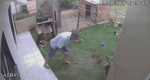 We haven't let her out in the backyard unsupervised for the past week since the weather started warming up and the ants are now active. Https Encrypted Tbn0 Gstatic Com Images Q Tbn And9gcs Mx8smgsupl55fjbevph3 Bybb76oufcija Usqp Cau