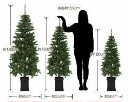クリスマスツリーの選び方の画像