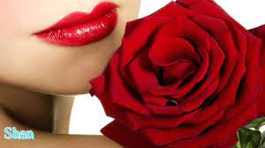 Gulab Ka Phool Wallpaper Info Beautiful Red Roses Lip Wallpaper Red Rose Flower