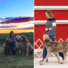 Tlc pet hospital is more than just a pet hospital, we are your preferred full service albuquerque veterinarian clinic. Technicians Tlc Pet Hospital