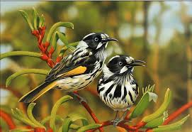 Check spelling or type a new query. Free Download Beautiful Birds Hd Wallpaper 1041x716 For Your Desktop Mobile Tablet Explore 50 Beautiful Bird Wallpaper Blue Bird Wallpaper Beautiful Parrots Wallpapers Beautiful Birds Wallpapers For Desktop