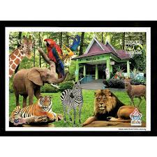 Zoo melaka famous with night safari and its my 1st time experience going at night to watch to all the animals. Kkk Malaysia Postcard Malacca Zoo Night Safari Shopee Singapore