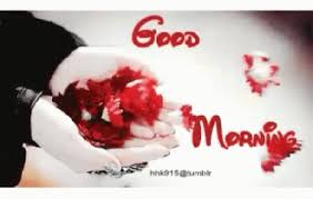 We did not find results for: Awesome Gif Image Love Kiss Good Morning Cartoon Gif