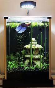 Planted Tank Aquarium Setup Ideas Tropical Fish Tanks Betta Aquarium Fish Tank Design