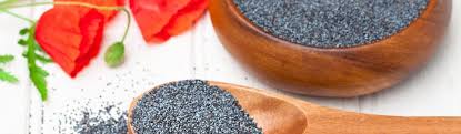Poppy Seeds And Opiates