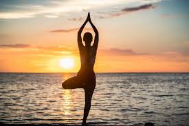 Holistic Health Concept