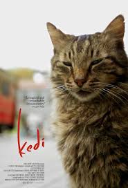 Watch Kedi 2017 Movie Online Free Hd Full Movies Online Free Free Movies Online Documentaries