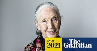 Judy Goodall's Instagram, Twitter & Facebook