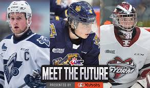 Alexis lafrenière ice hockey player profile displays all matches and competitions with statistics for all the matches he played in. 2020 Nhl Draft Final Chl Rankings By Position Chl
