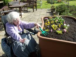 Gardening For Disabled And Elderly Green Circle Garden Horticulture Therapy Healing Garden Sensory Garden