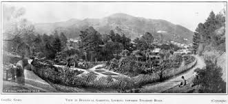 Enjoy our fitness center and a complimentary welcome cookie. Wellington Botanical Gardens An Origin Story Museums Wellington