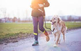 A healthy dog is about more than just exercise just like humans, dogs need a healthy diet for their body to function properly and get the most out of their exercise. 9 Reasons To Run With Your Dog Active