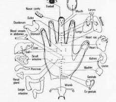 Hand Acupressure Reflexology Chart Www