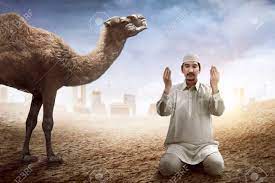 After several days of not being rescued, they agreed that they were not going to be rescued. Image Of Man Praying And Camel With Desert Background Stock Photo Picture And Royalty Free Image Image 58887298