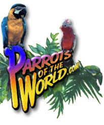 Find an animal shelter or rescue group. Pet Shops Near Me That Sell Birds Pet S Gallery