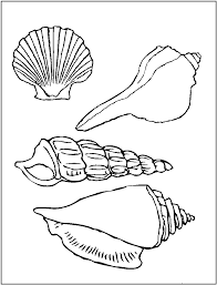 Check spelling or type a new query. Free Printable Seashell Coloring Pages For Kids Shell Coloring Pages Seashell Coloring Pages Sea Shell Coloring Pages