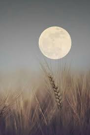 You Ll Remember Me When The West Wind Blows You Ll Remember Me When The West Wind Moves Upon The Fields Of Barley You Ll Forget The Sun In His Jealous Sky A Shoot The Moon Good Night Moon Beautiful Moon