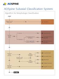 Image result for Subaxial Injury Classification Scale