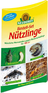 Neudorff Bestell Set Nutzliche Insekten Gegen Schadlinge Fur Bis Zu 100m Amazon De Baumarkt In 2020 Schadlinge Hochbeet Insekten