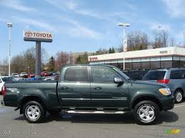 Image result for Verde Tundra 2005 159