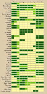Check spelling or type a new query. Pin On Garden